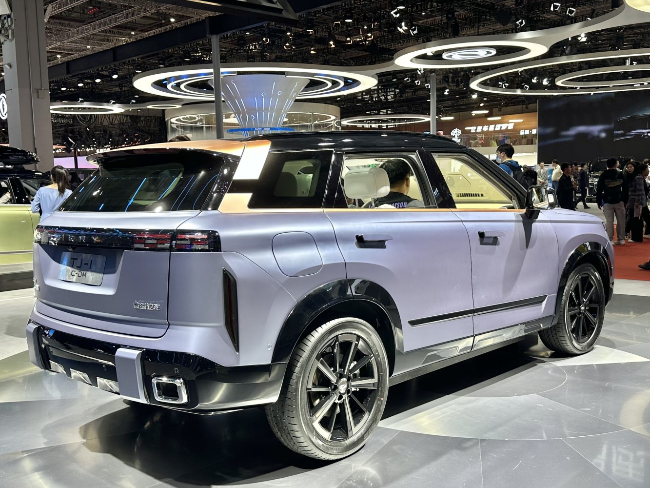 LED tail lights, black roof, sporty alloy wheels, SUV rear design
