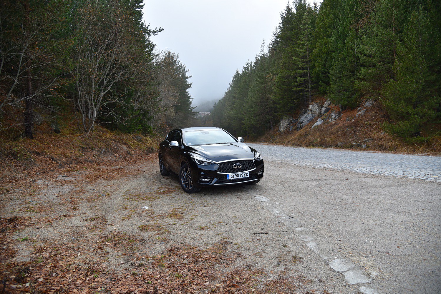 Black hatchback with sporty front grille and LED headlights on forest roadside