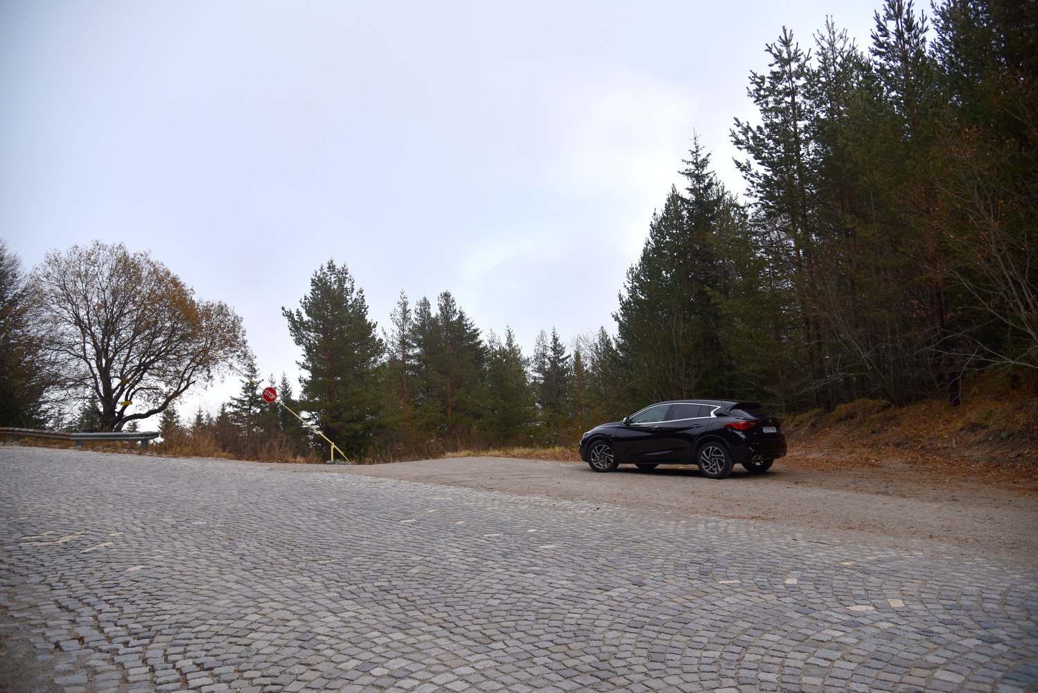 Rear side view of compact crossover on gravel near forest