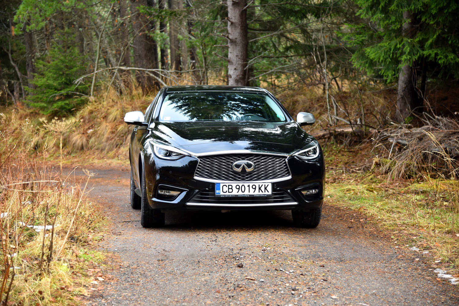 Front view with mesh grille and sleek headlights