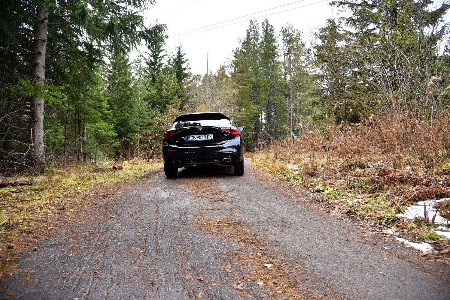 Rear view of a vehicle with dual exhaust on a forest path