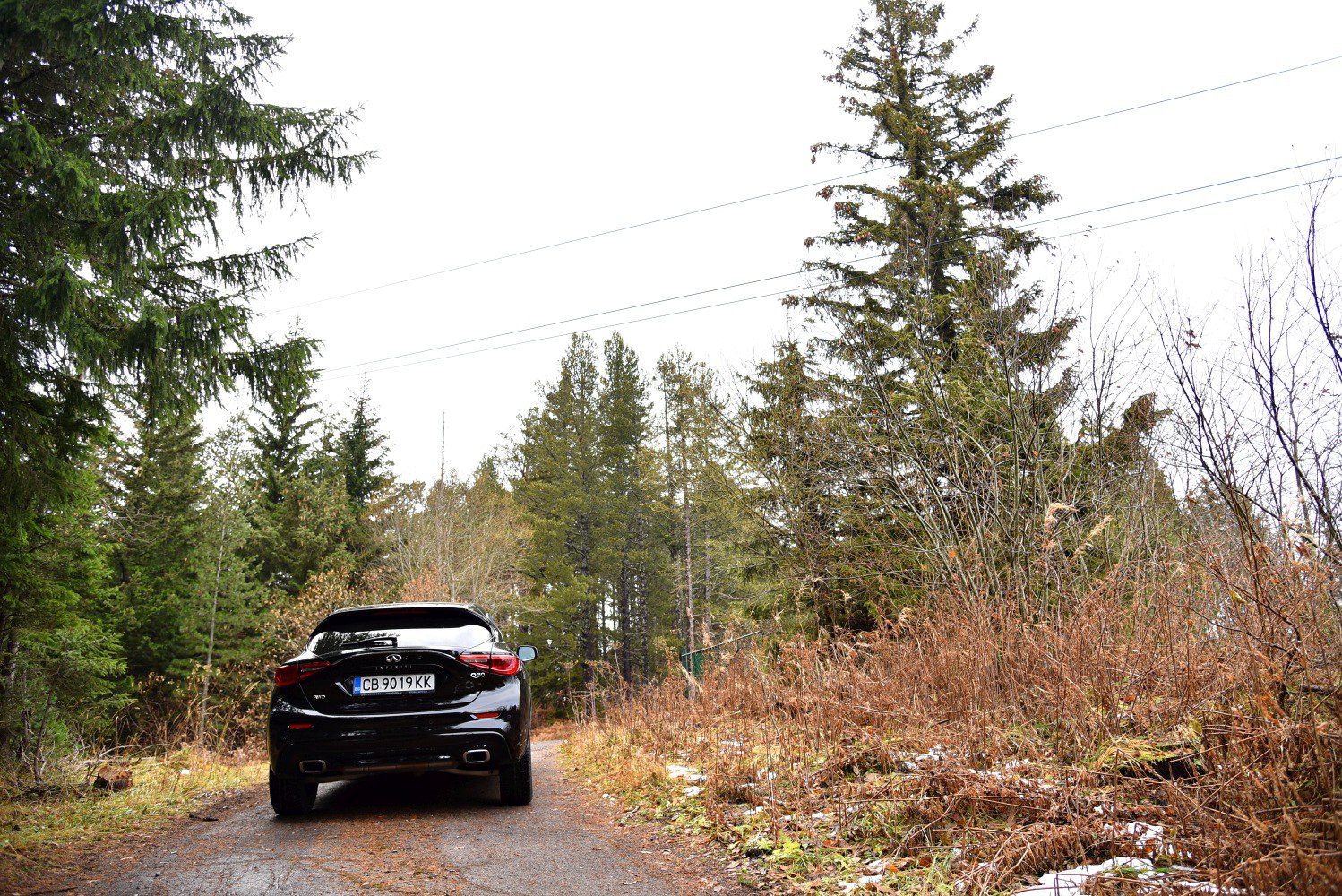 Rear view of black vehicle with dual exhausts on forest path