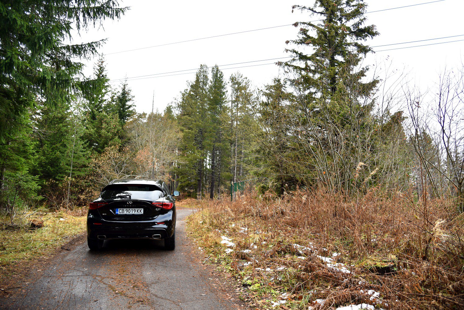 Rear view of a hatchback on a forest path with dual exhaust and distinctive taillights