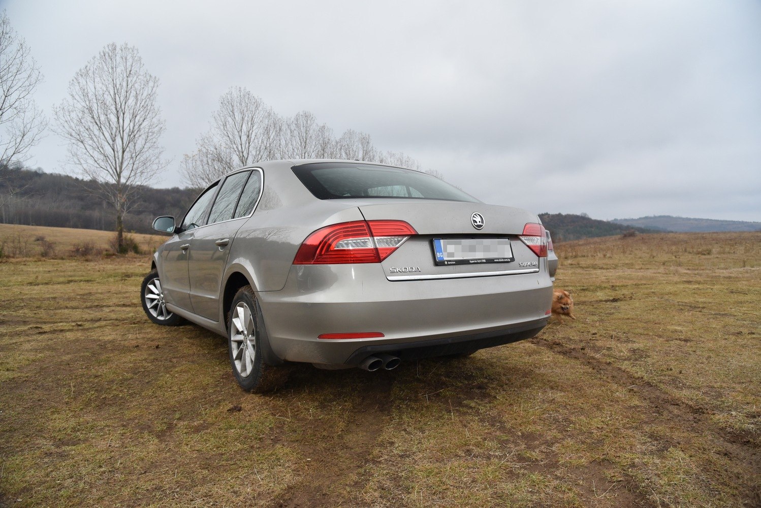 Silver sedan rear view with dual exhaust in grassy field