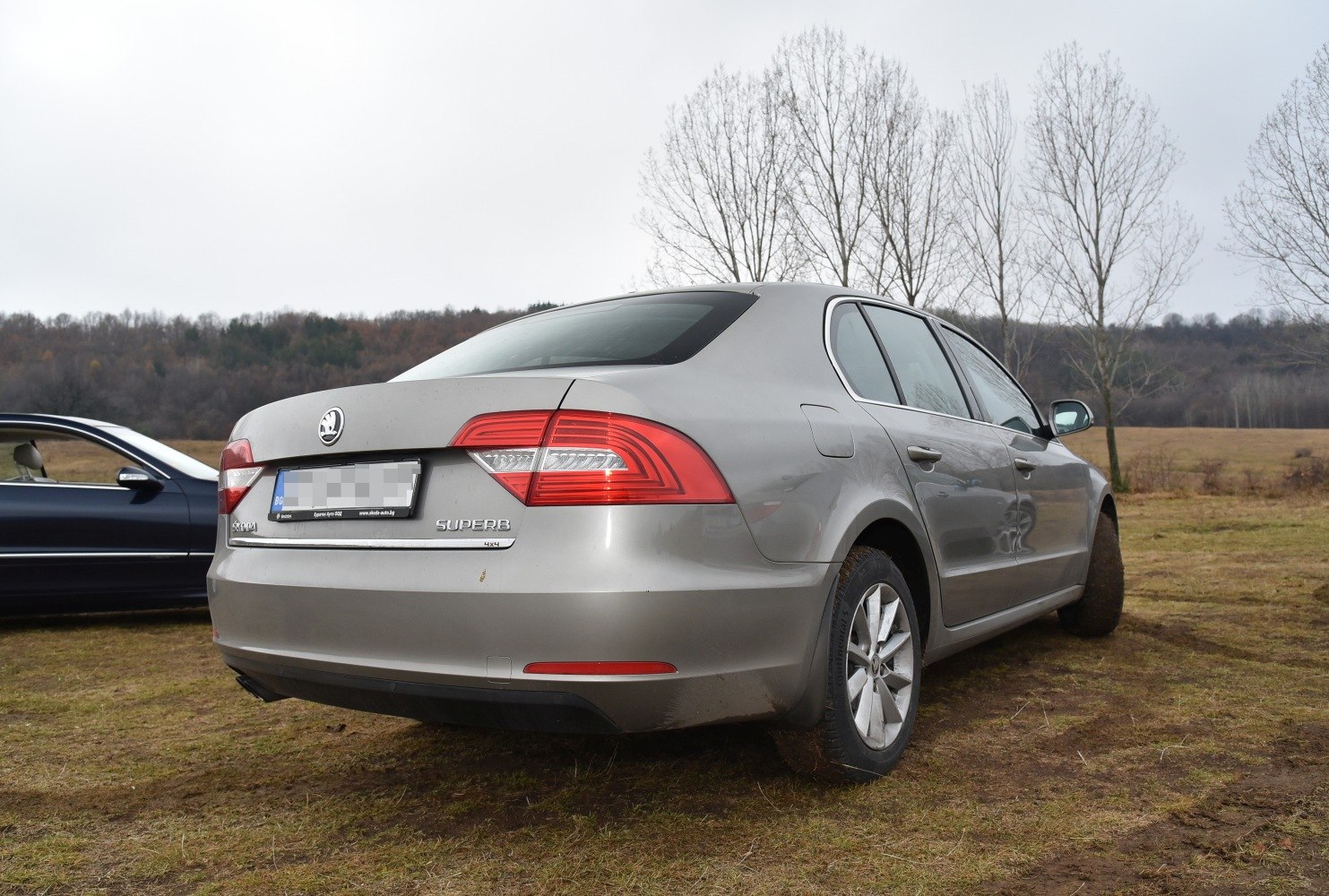 Rear angle with tail lights and badge of a sedan on grassy terrain