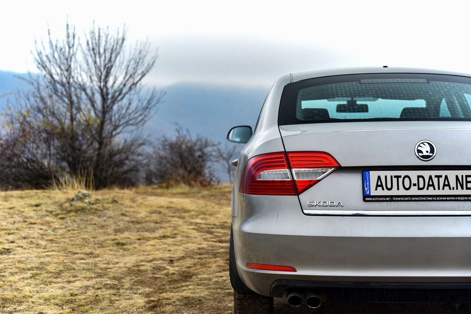 Silver sedan rear with distinct taillights and dual exhaust