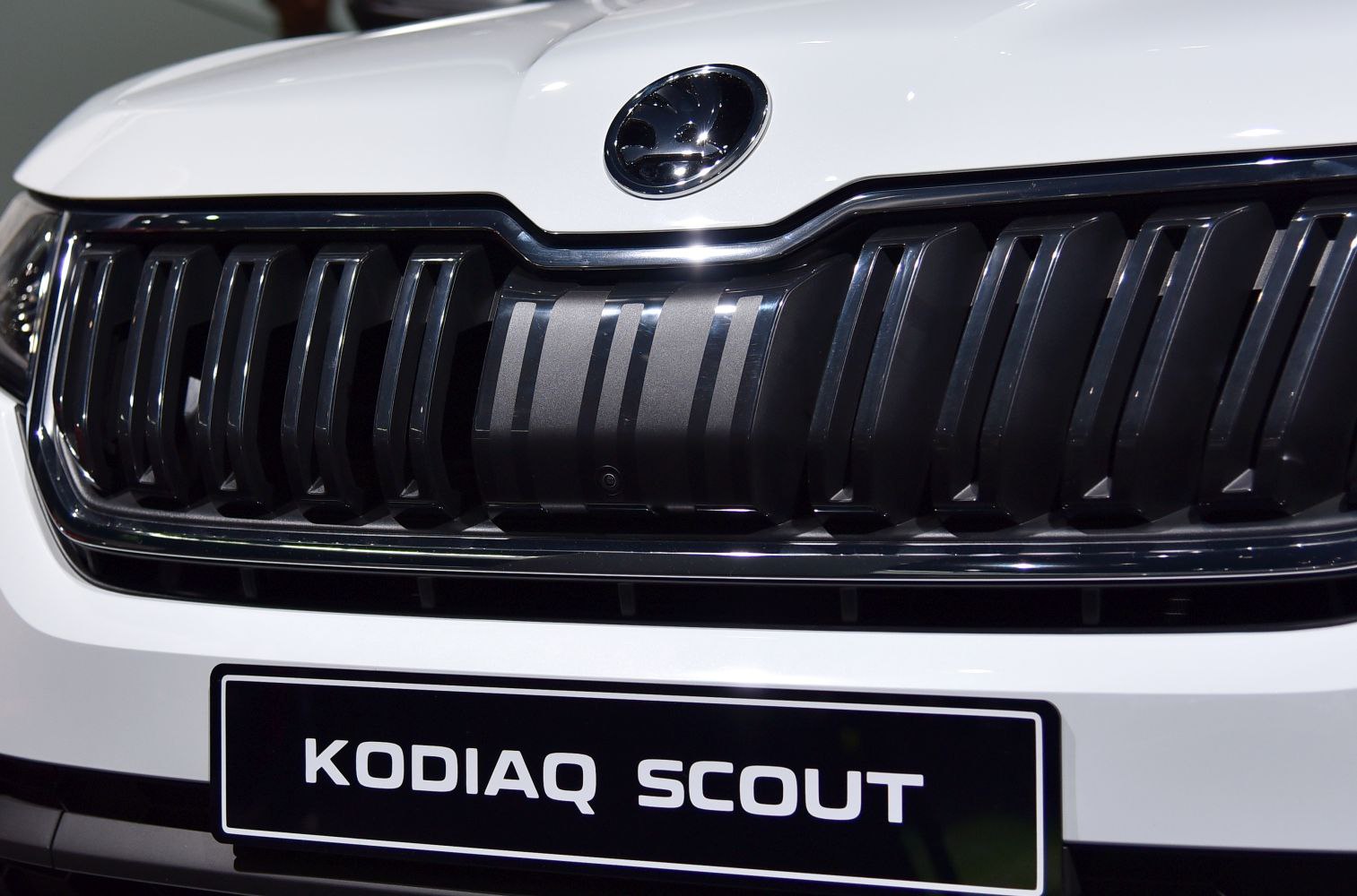 Close-up view of a black front grille with a brand emblem