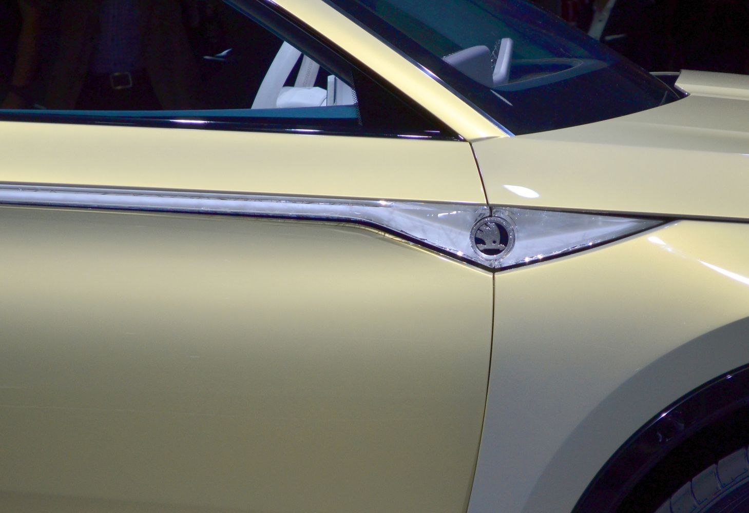 Close-up of car side panel with distinctive chrome trim and badge