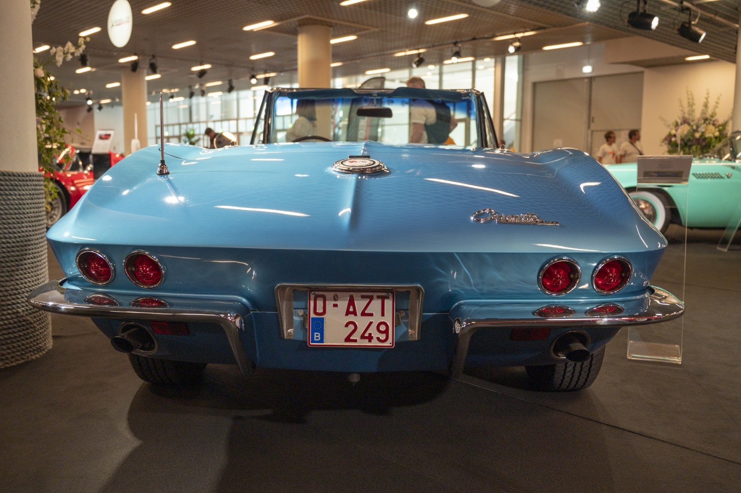 Rear view with dual round taillights, chrome bumper, and Corvette emblem
