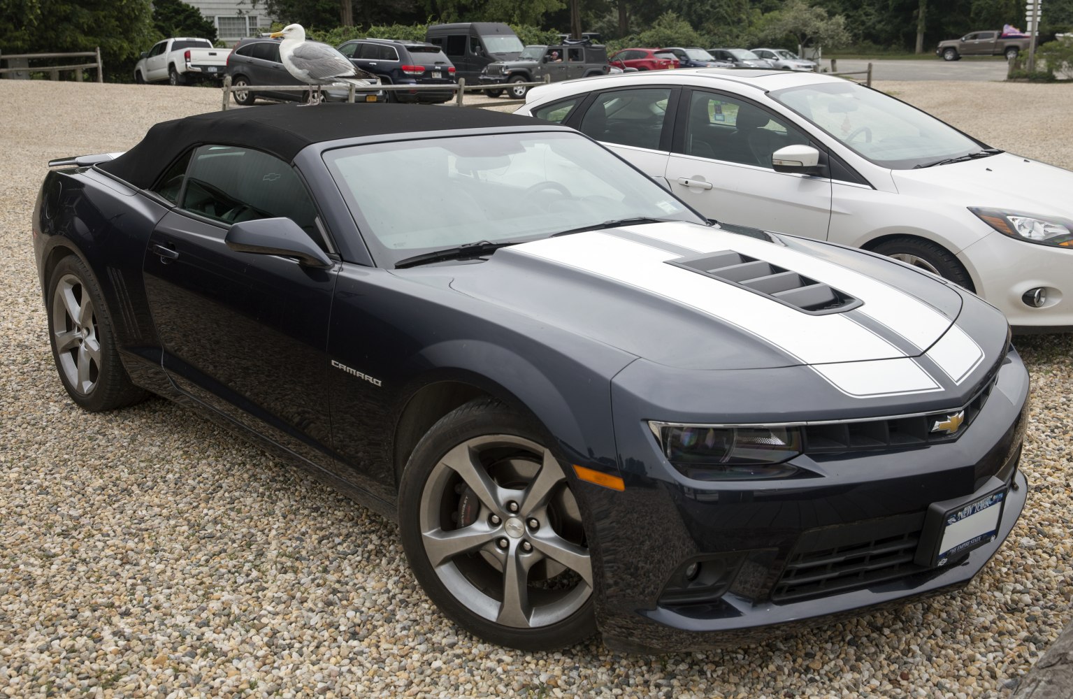 Convertible with racing stripes and hood vent