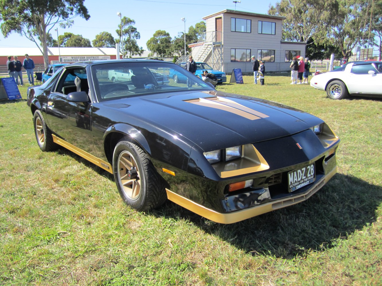 Black and gold sporty coupe with dual headlights and T-top roof