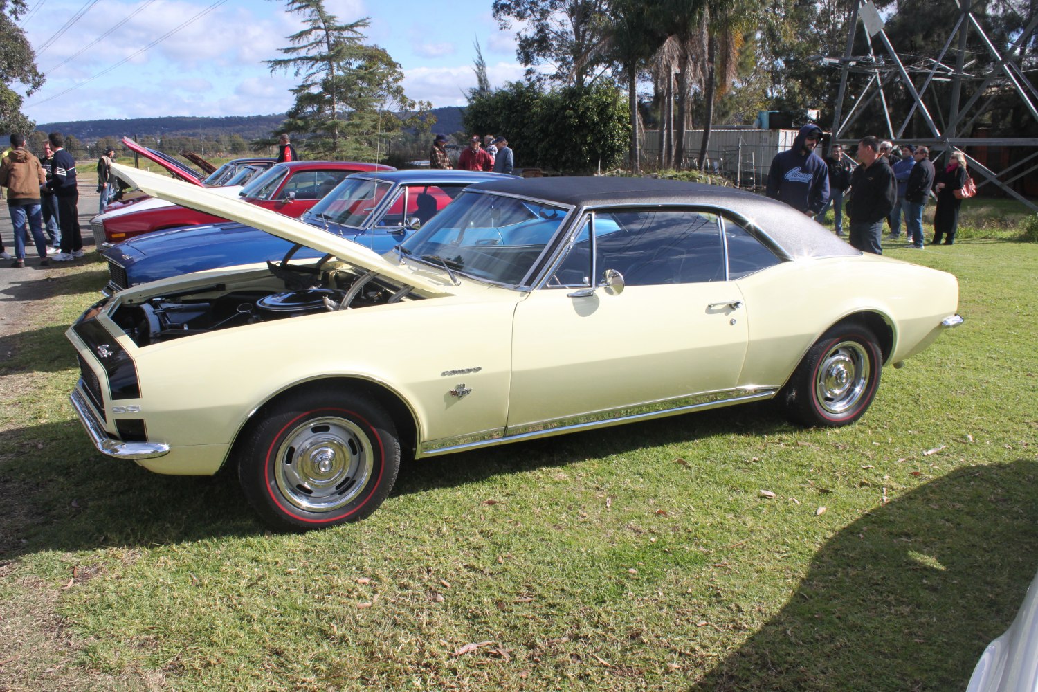 1967 muscle car with open hood and vinyl roof