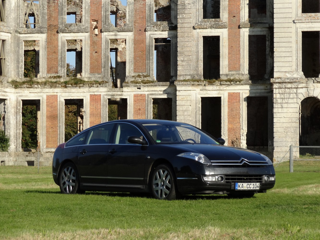 Front-side view of sleek executive sedan on grassy field