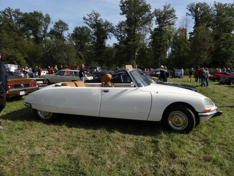 Long sleek body with open convertible roof and classic retro design