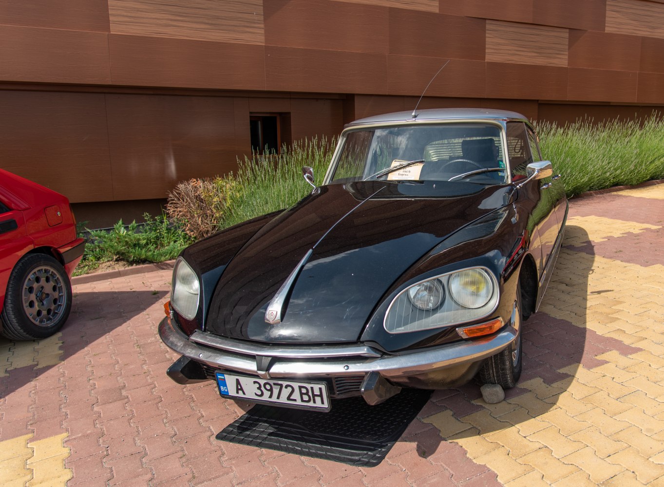 Distinctive front view with sleek curved hood and dual headlights