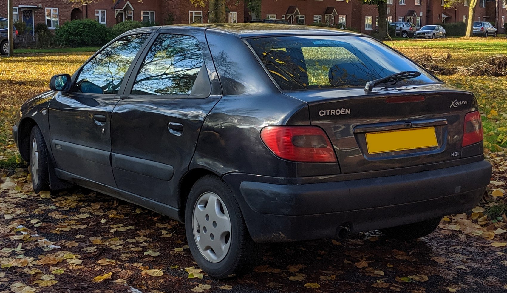 Rear hatchback and tail lights of a compact hatchback car.