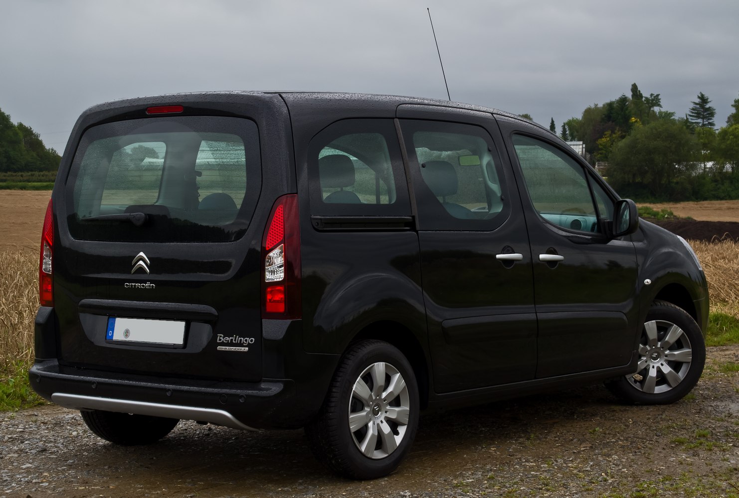 Rear and side view of a black multi-purpose vehicle with distinctive vertical taillights