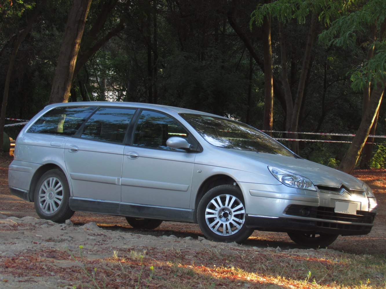 Silver station wagon with aerodynamic design and large windows