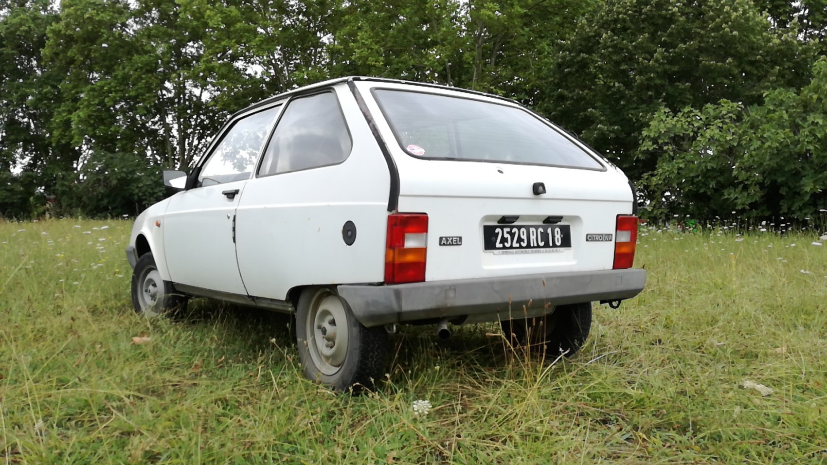 Rear view of classic white hatchback with distinctive tail lights