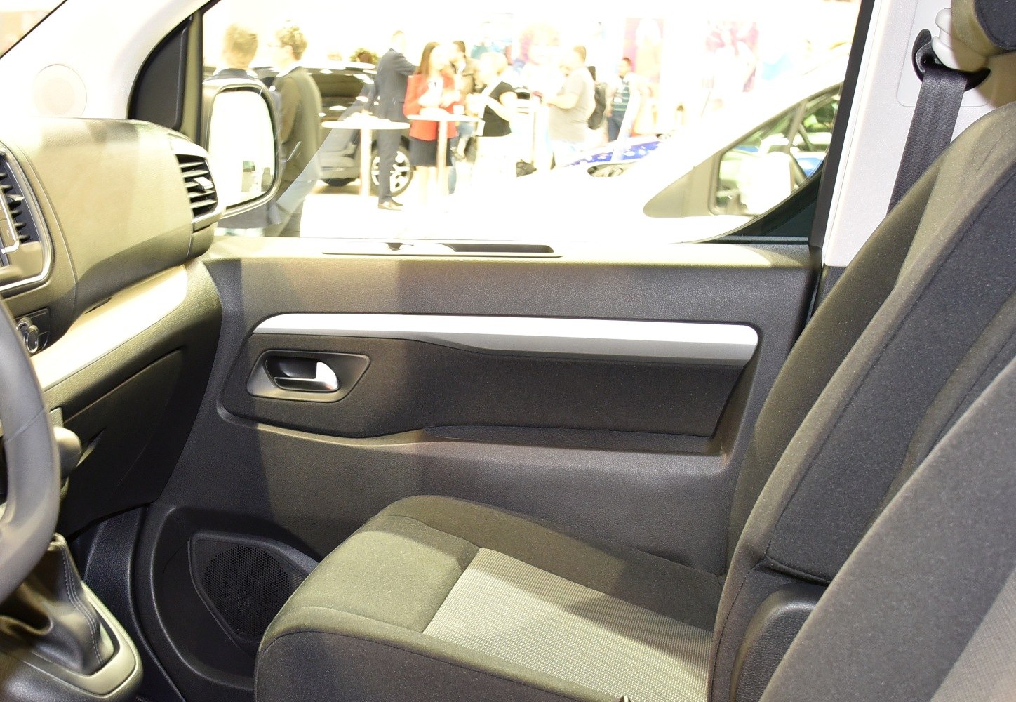 Interior door panel and front seat upholstery