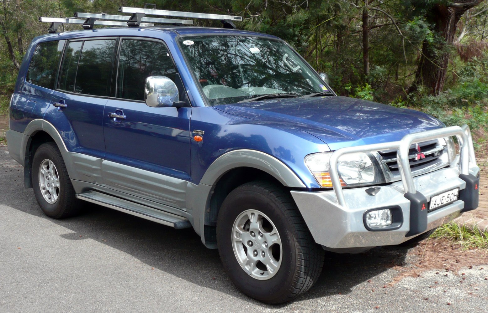 SUV with bull bar and roof rack, alloy wheels, side steps