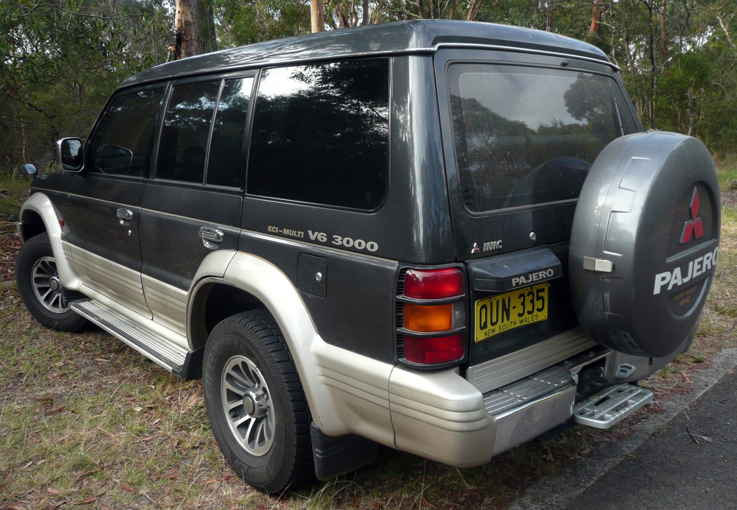 Rear and side view of an SUV with V6 3000 badge and spare wheel cover