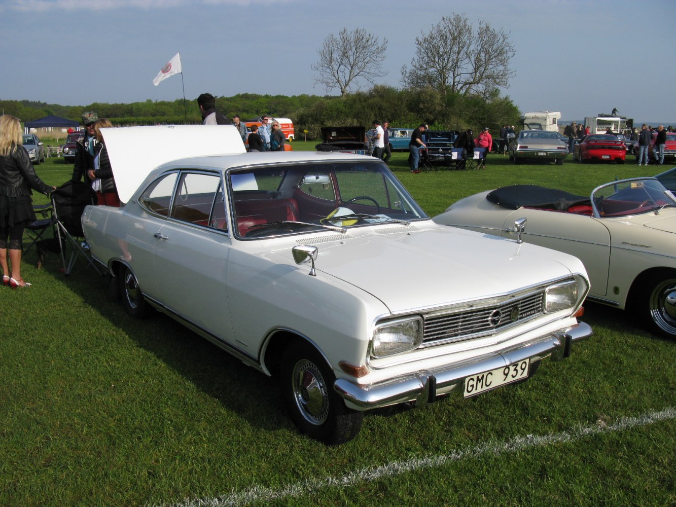 1965 coupe with distinctive front grille and sleek side profile