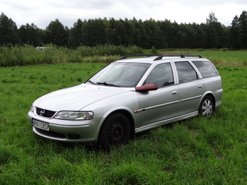 Silver station wagon with roof rails, side-front view on grass