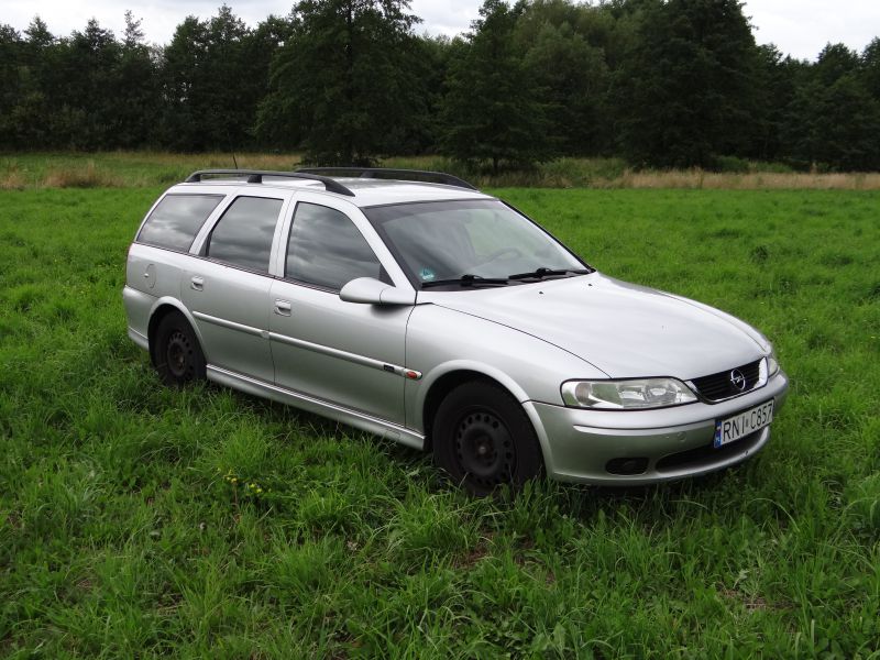 Silver estate car with roof rails and black steel wheels on grassy field