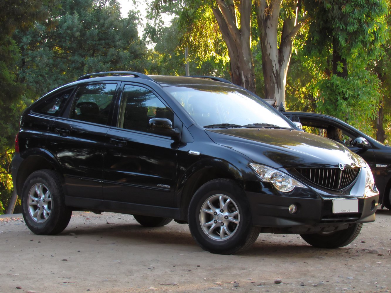 Compact SUV with unique front grille and sloped rear design