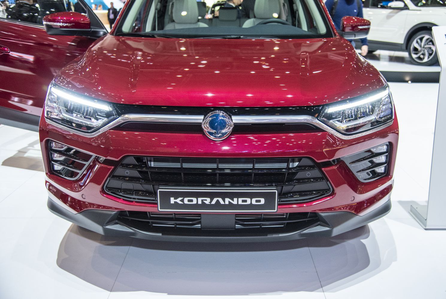 Front grille and LED headlights with LED strip at the front fascia.