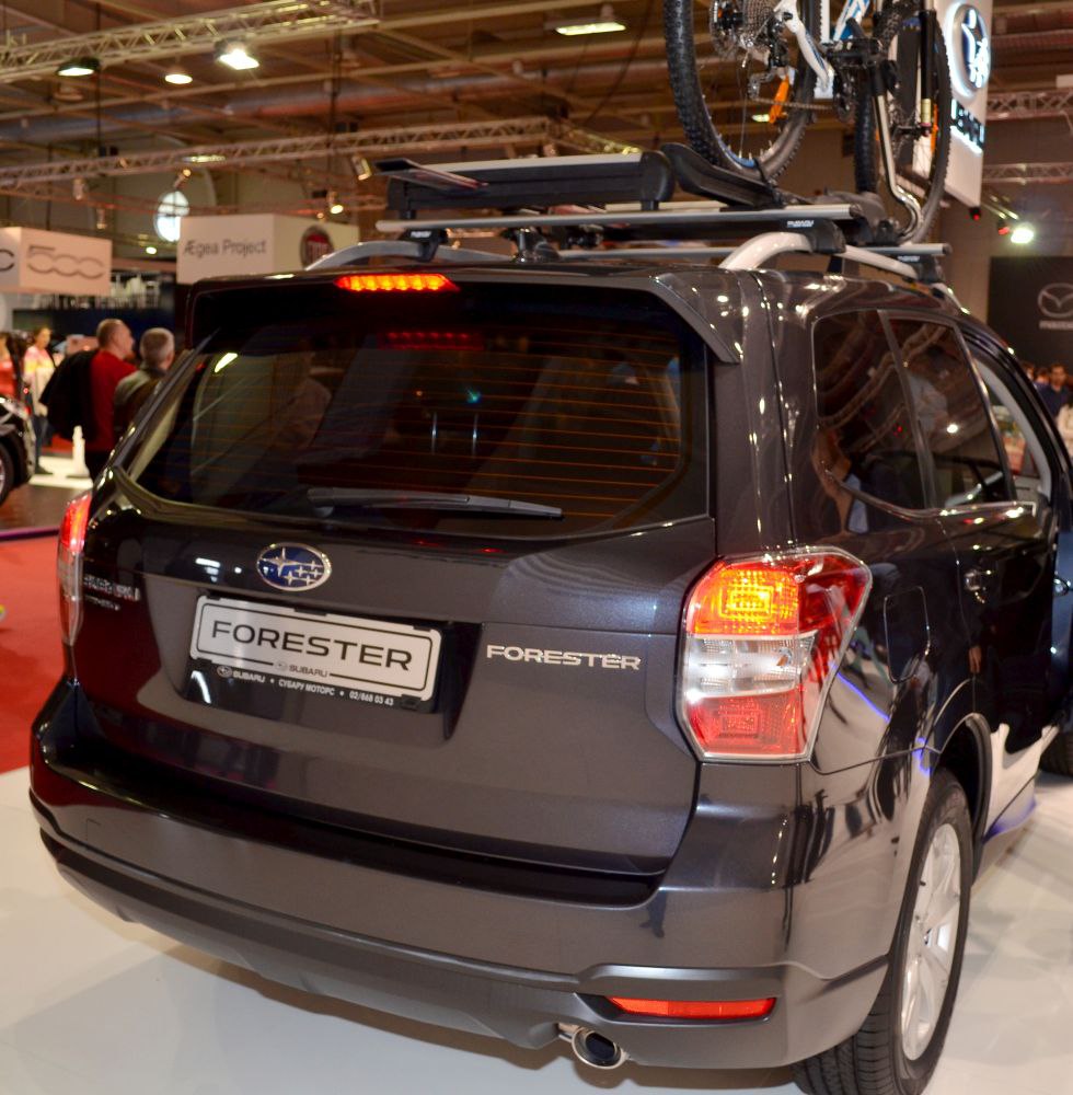 Rear view of SUV with roof bike rack and illuminated tail light