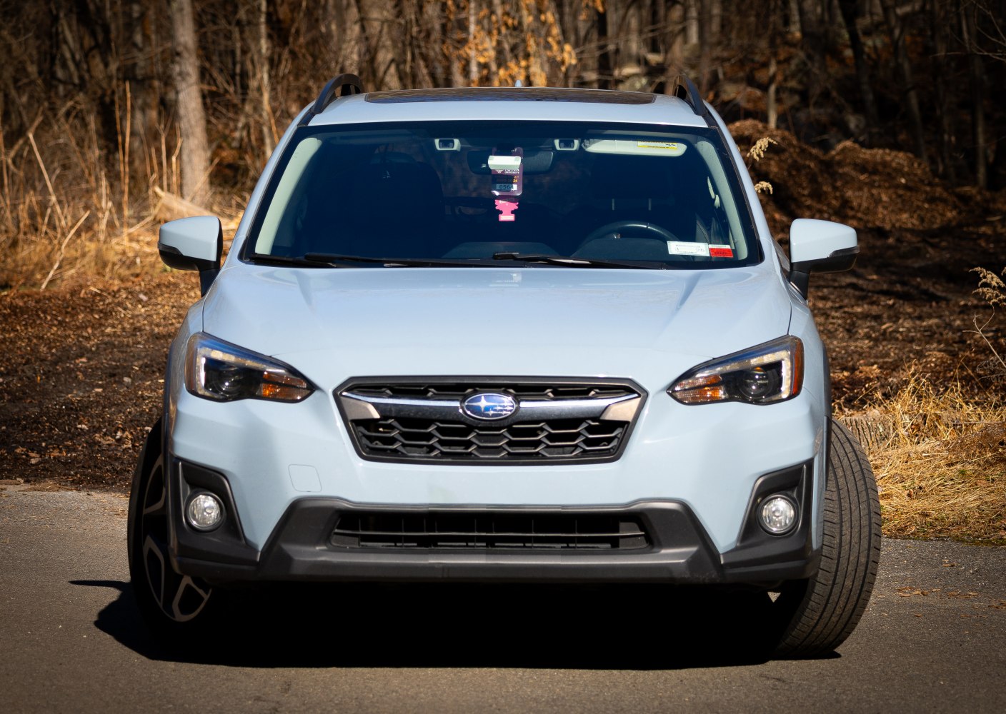 Front view with hexagonal grille, angular headlights, fog lights, and roof rails.