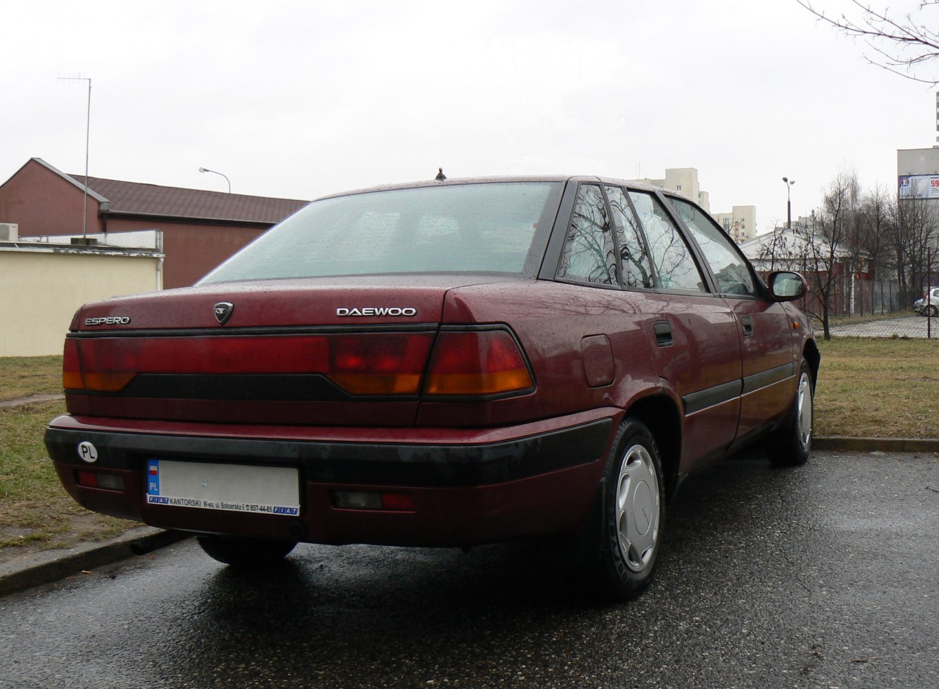 Rear view of a hatchback with distinct taillights and emblem details