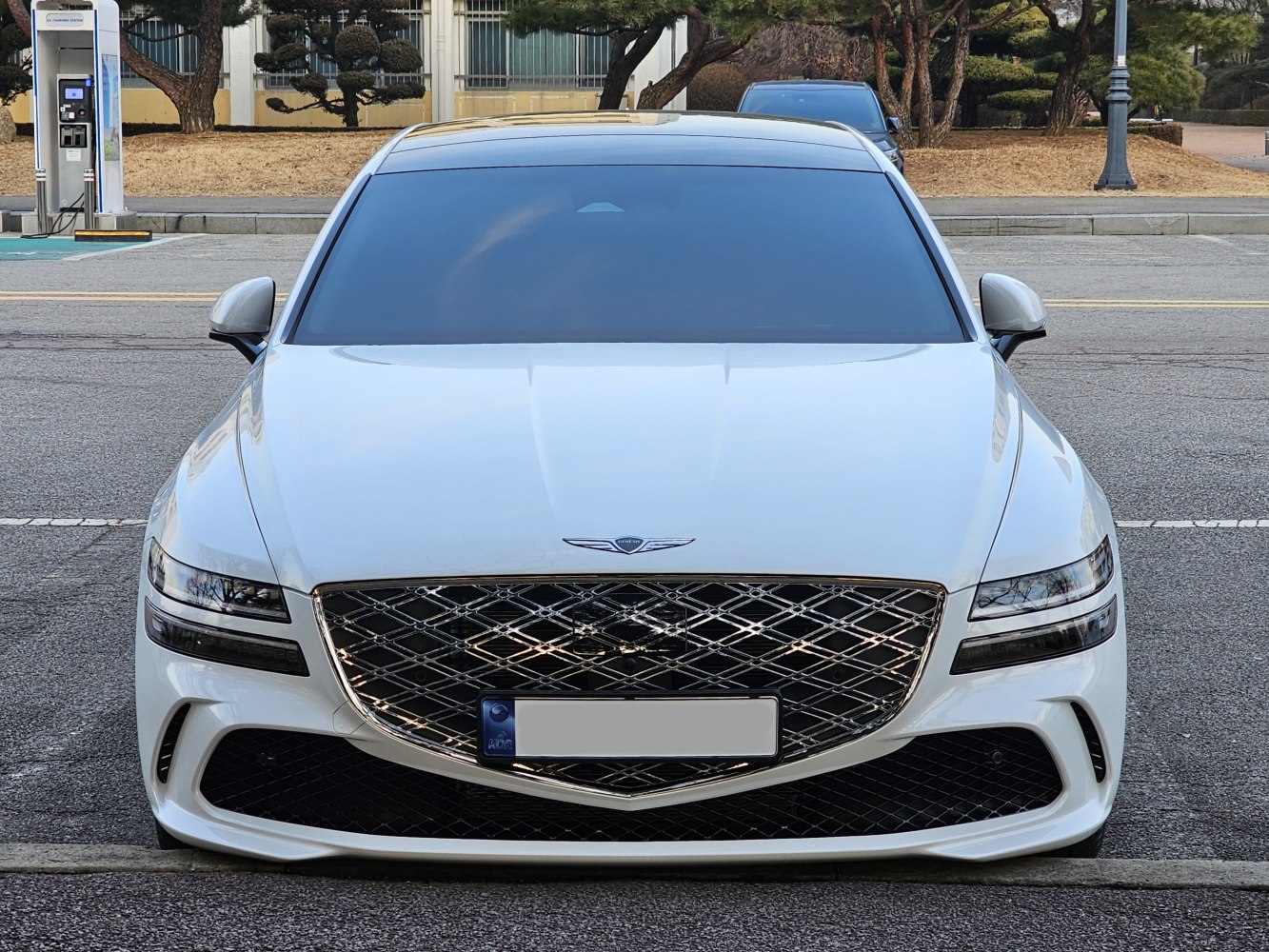Diamond-pattern grille and split LED headlights