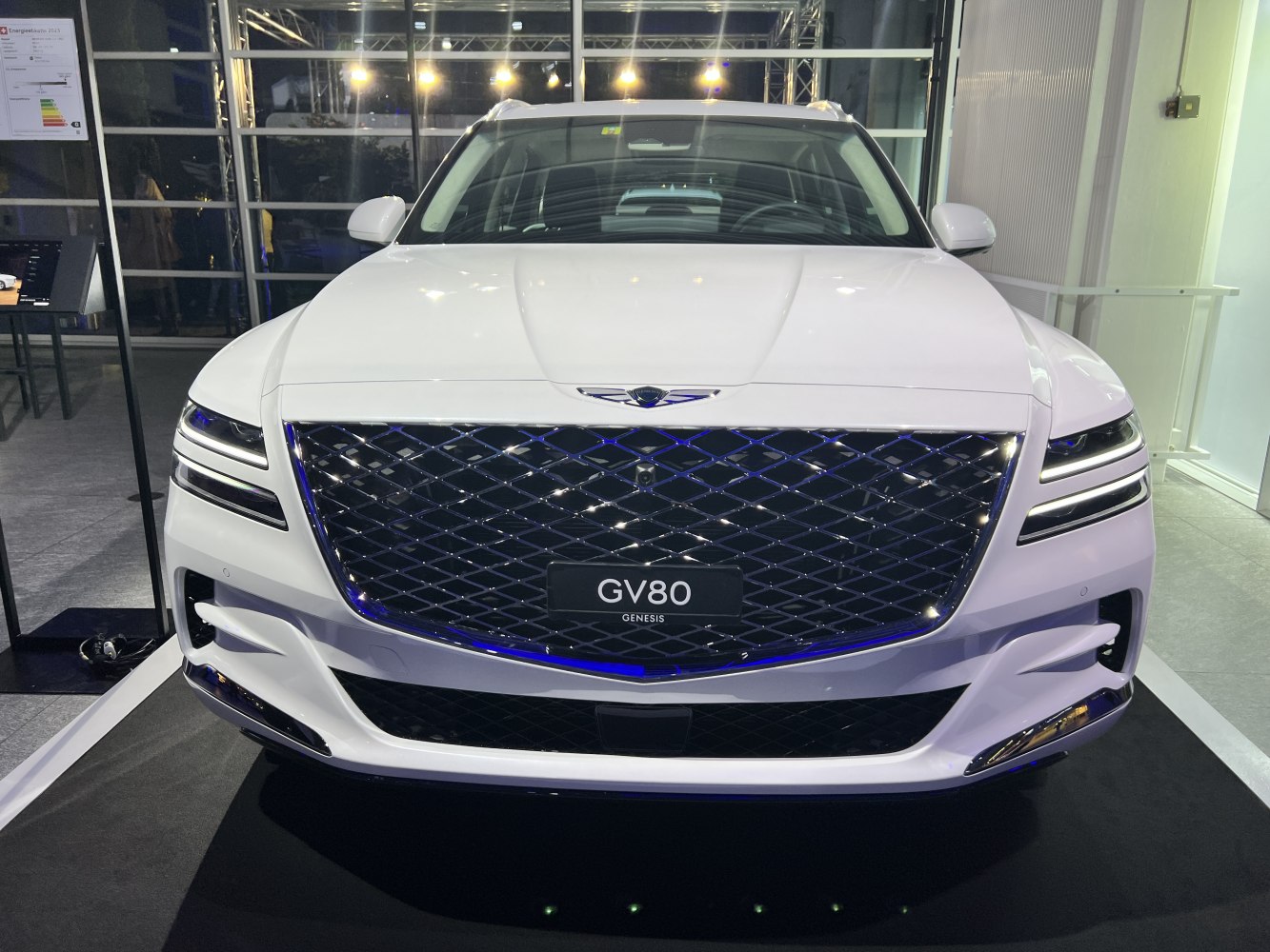 Large diamond grille and dual horizontal LED headlights