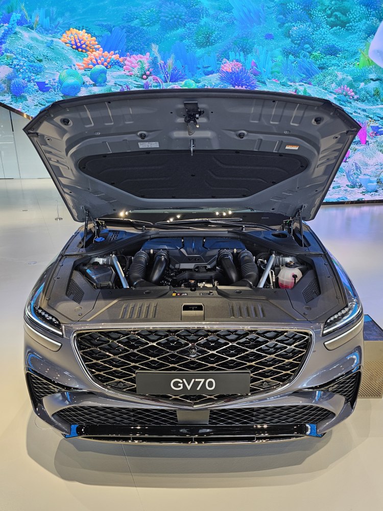 Engine bay with open hood and signature front grille