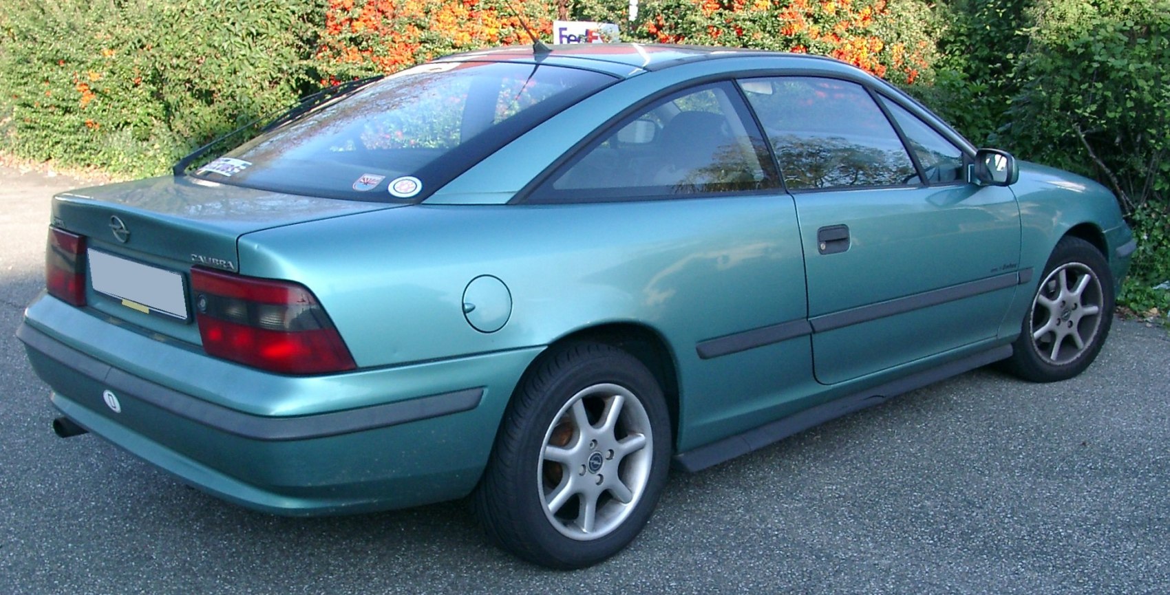 Rear side profile of a green coupe with alloy wheels.