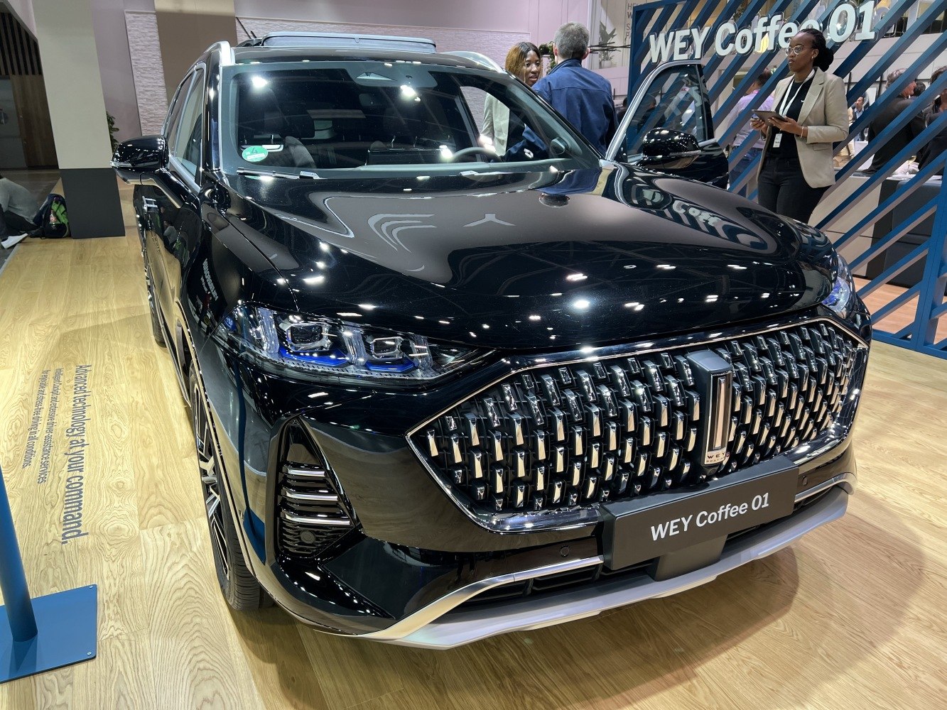 Front grille with intricate pattern and LED headlights.