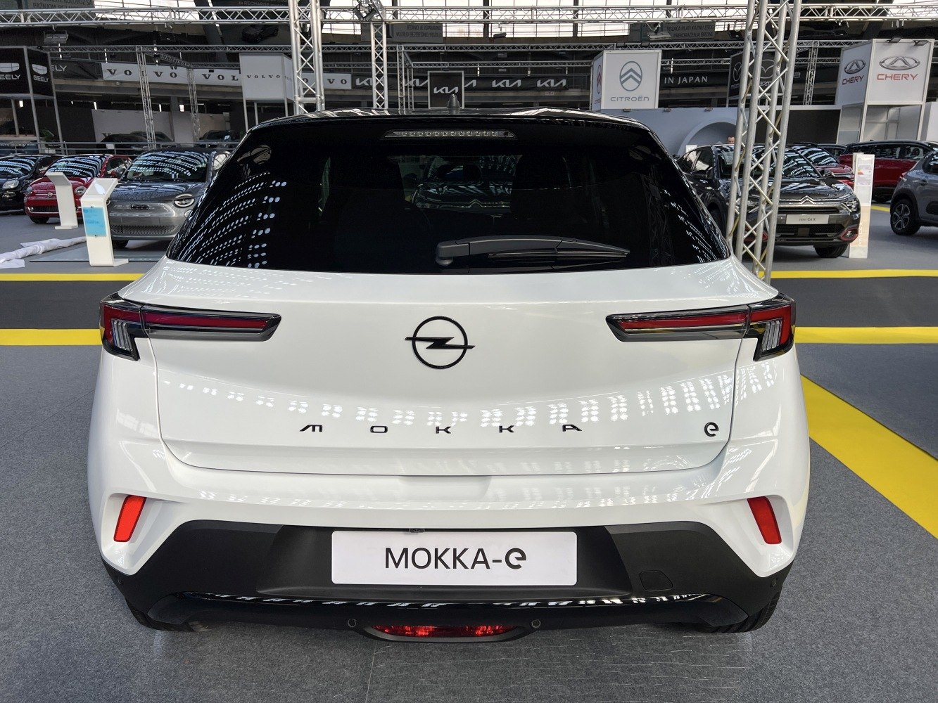 Modern electric SUV rear with sleek taillights and distinctive badging