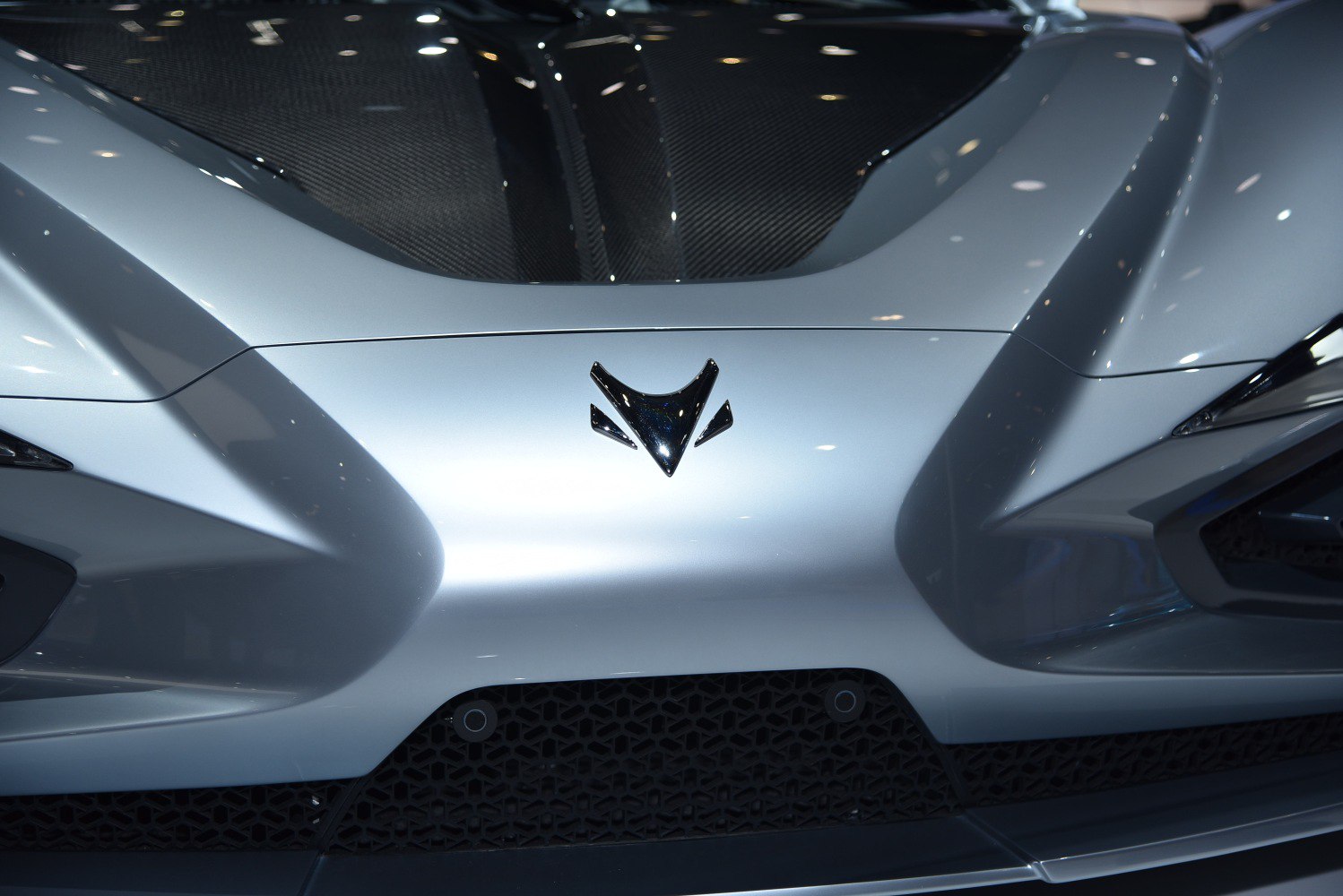 Front hood with emblem and carbon fiber section