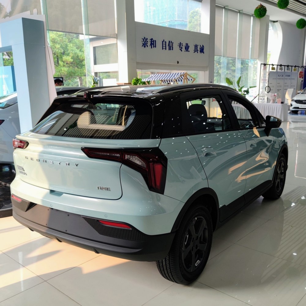 Rear and side view of electric compact SUV with black roof contrast and distinctive taillights