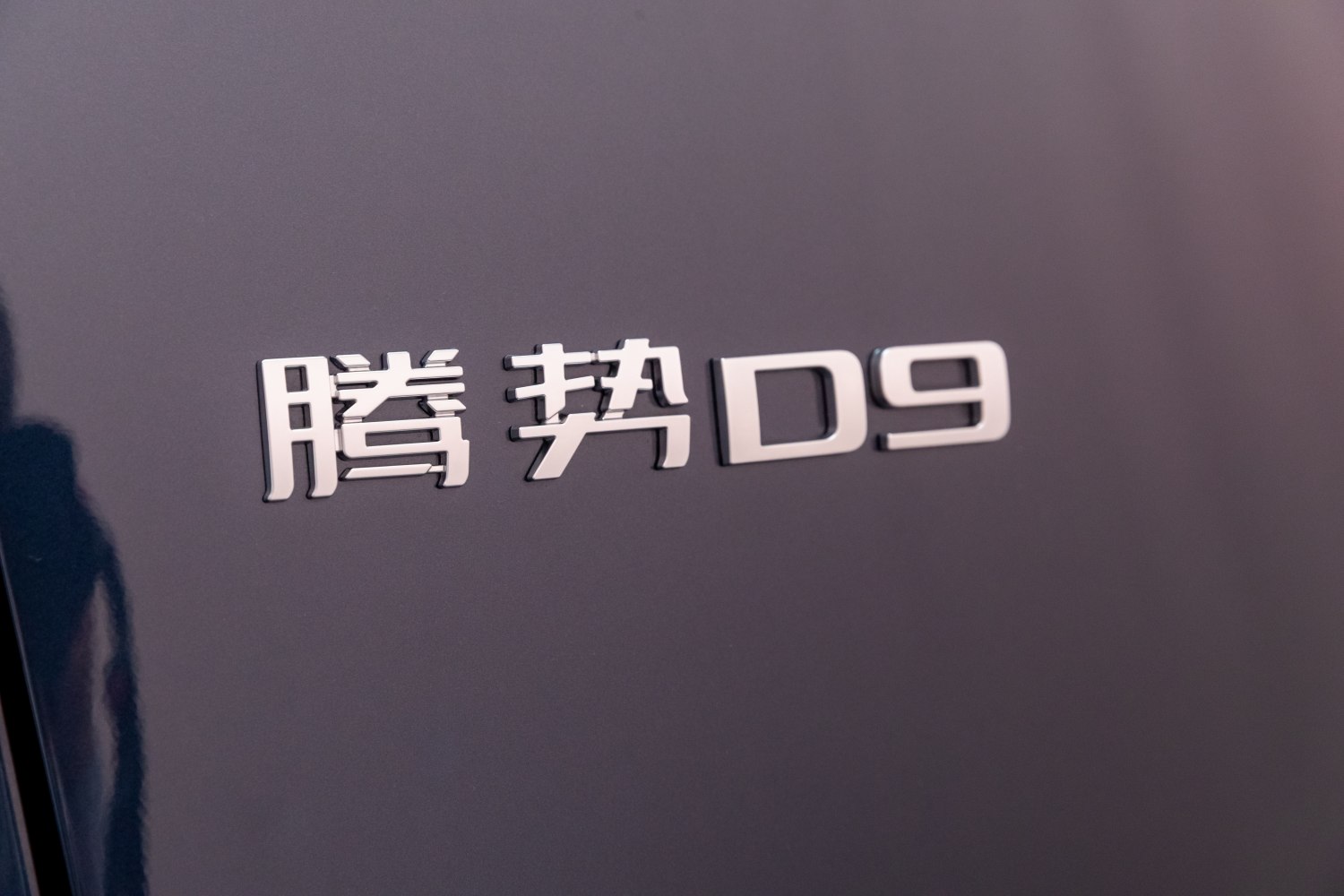 Close-up of Denza D9 car badge with Chinese characters and model number.