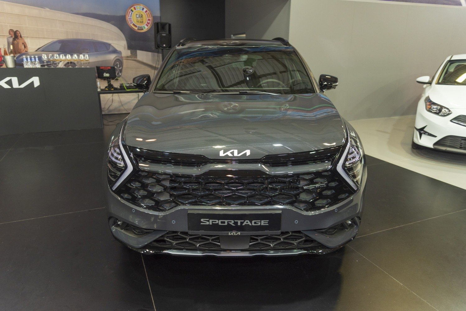 Front grille and LED headlights with distinctive design