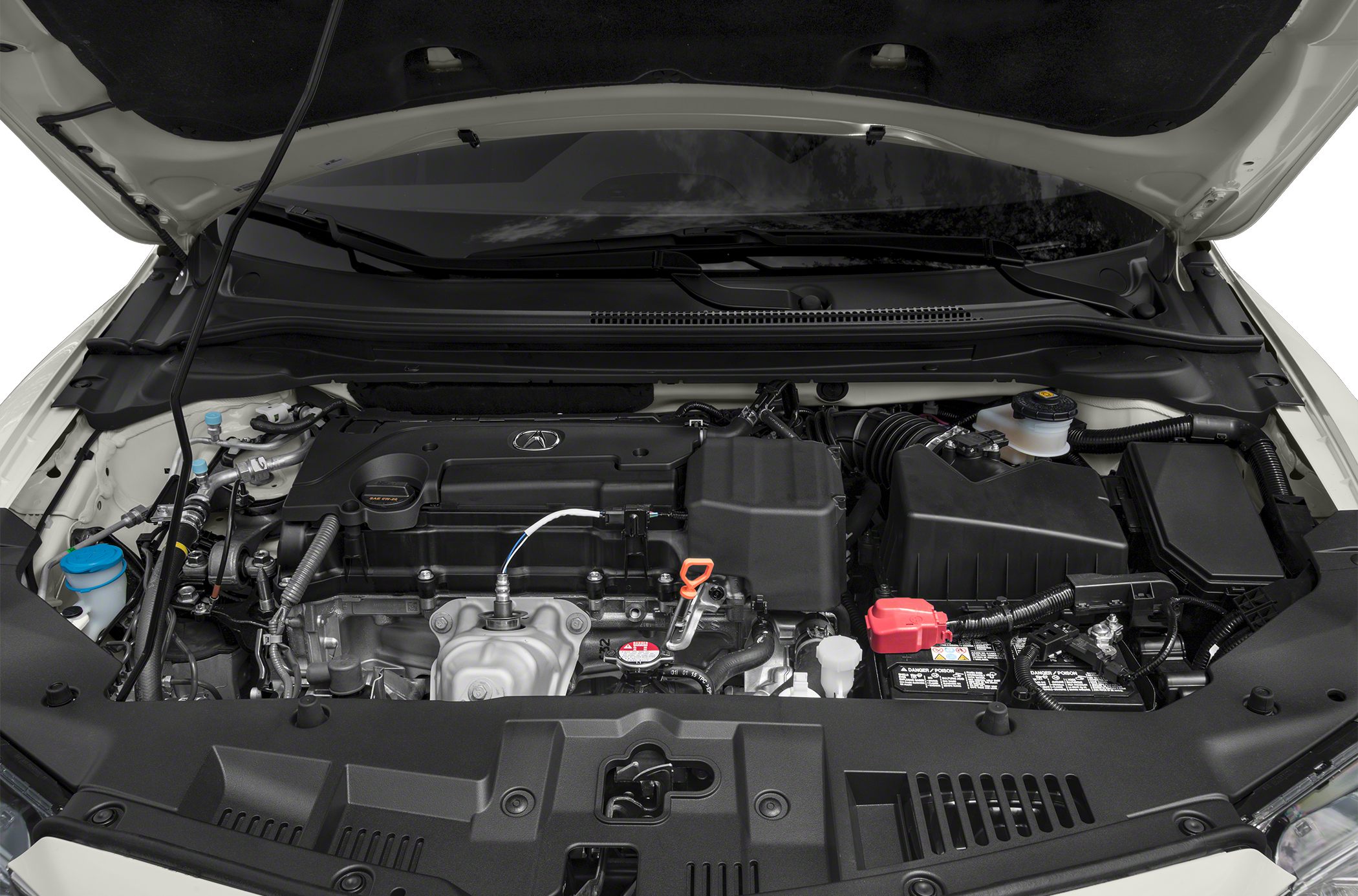 Engine bay of a modern sedan with organized components and Acura emblem.