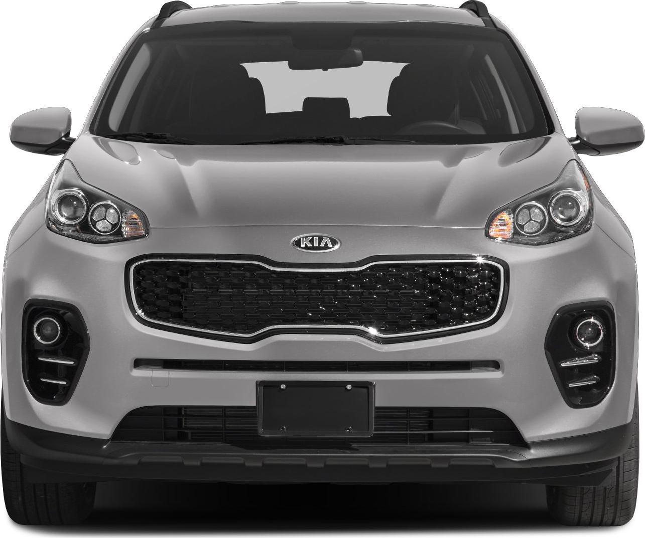 Front grille and distinctive headlights of a modern SUV.