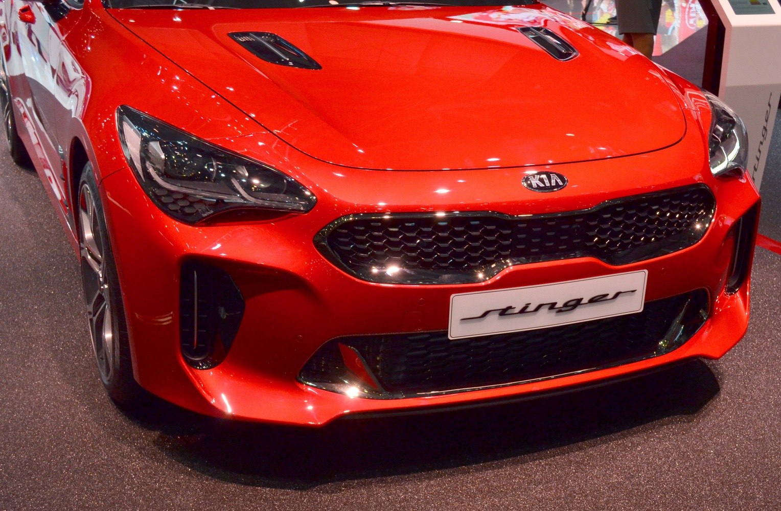 Sporty front fascia with sleek headlights and honeycomb grille