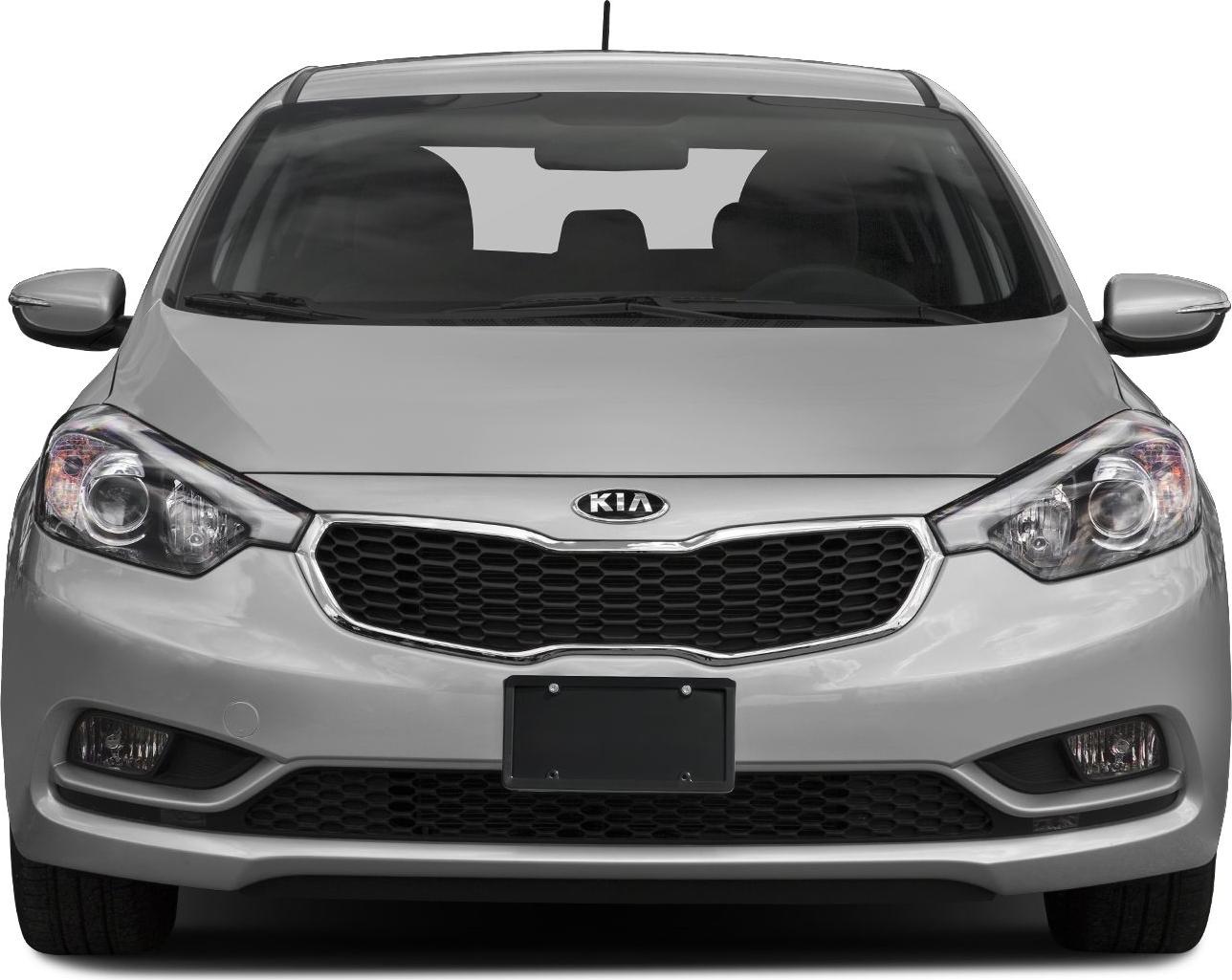 Front view with honeycomb grille and headlight design