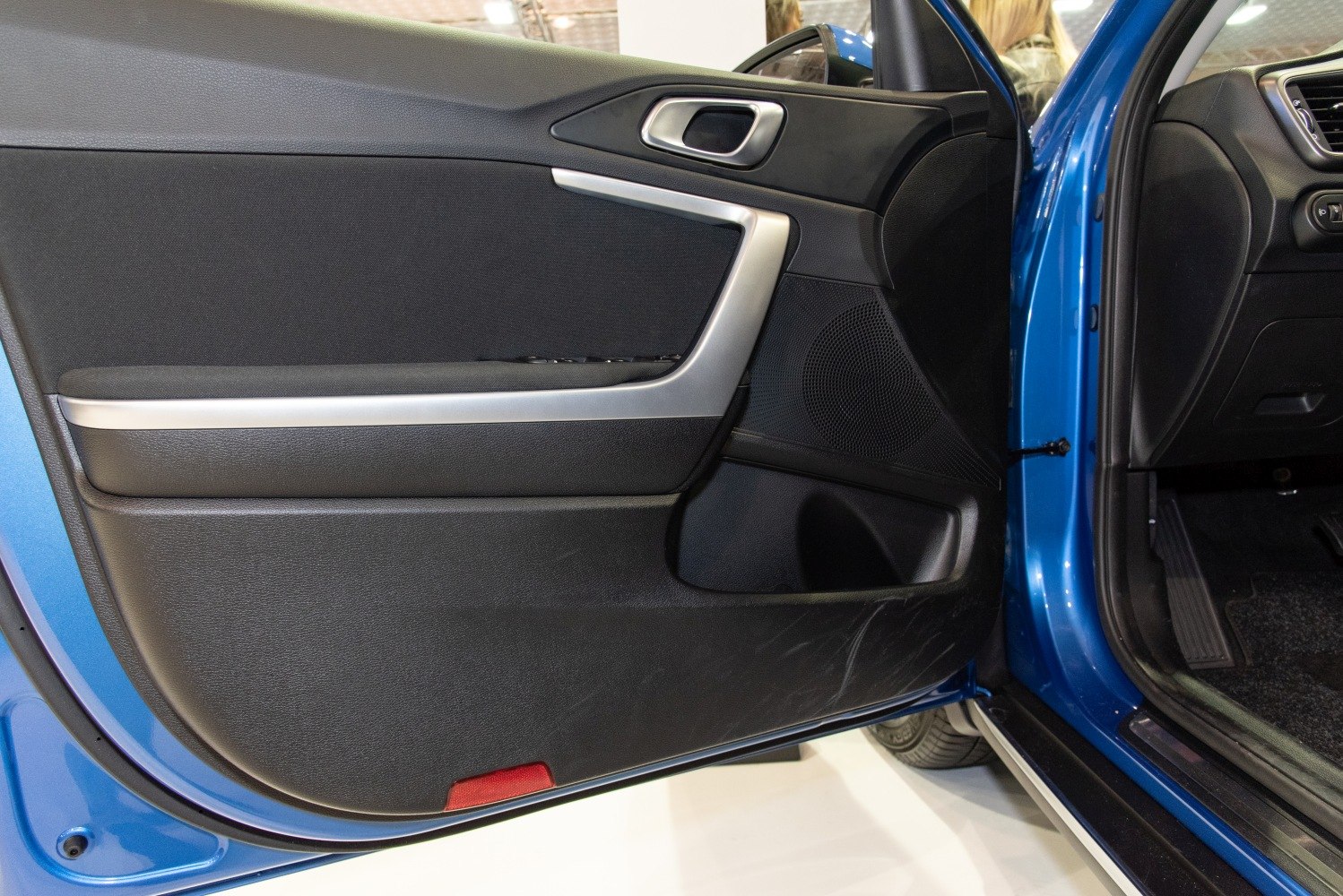 Car interior door panel with trim and controls