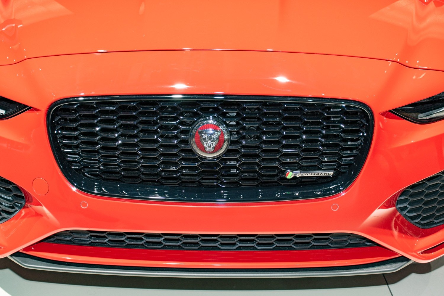 Front grille with Jaguar emblem and R-Dynamic badge